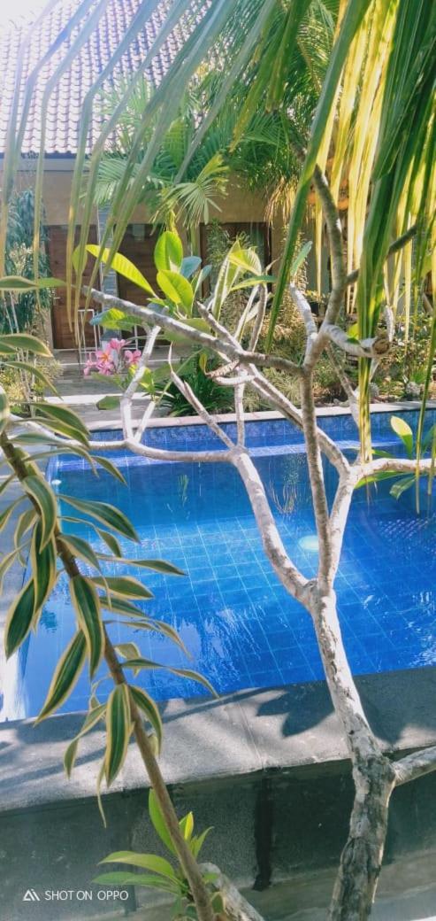 Belong Home Stay Lembongan Ngoại thất bức ảnh