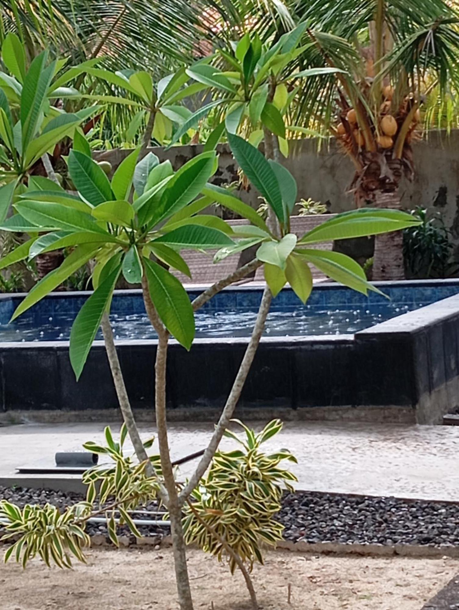 Belong Home Stay Lembongan Ngoại thất bức ảnh