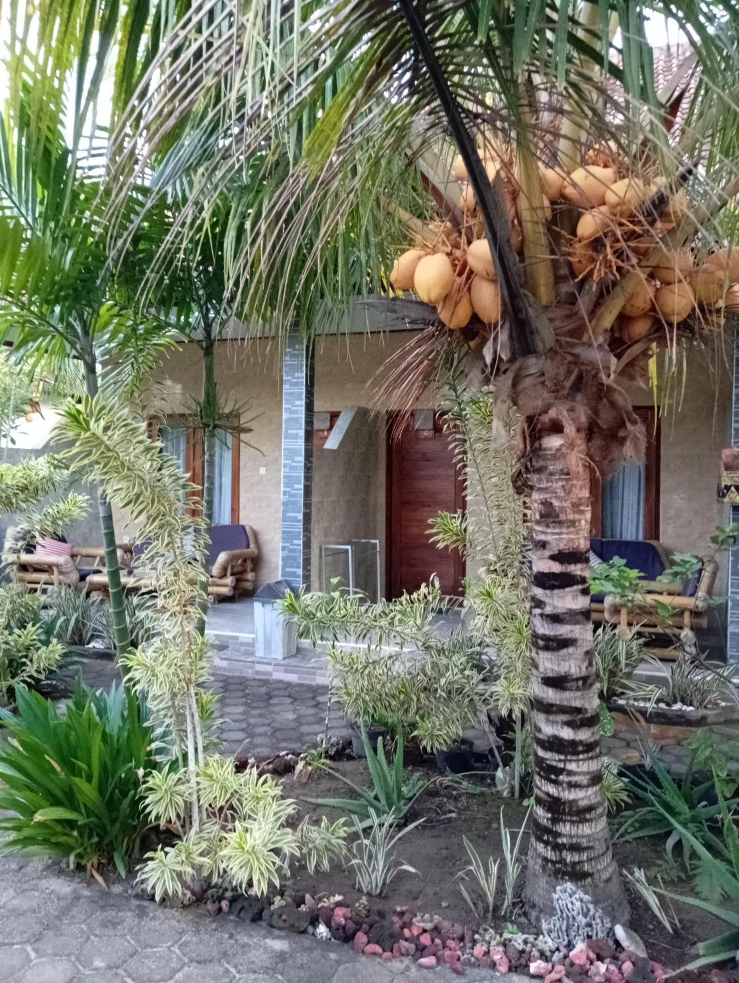 Belong Home Stay Lembongan Phòng bức ảnh